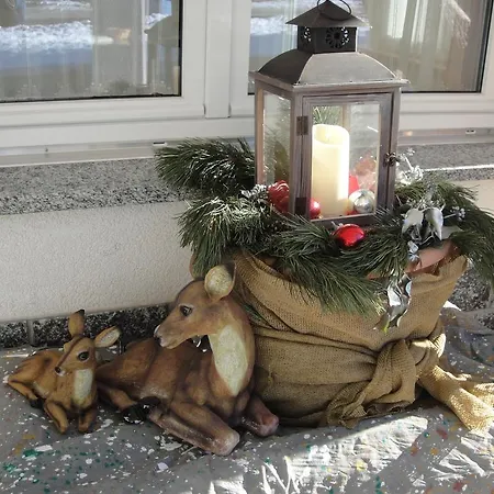 Haus Alpenstern * Saas-Grund