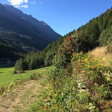Haus Alpenstern Apartment *