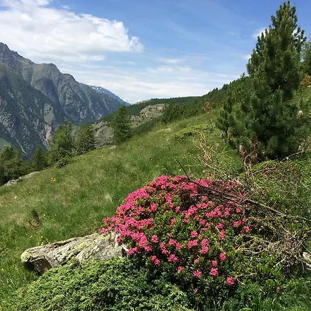 Apartment Haus Alpenstern Saas-Grund
