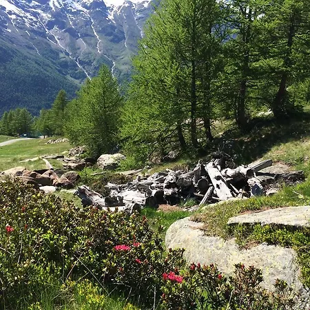 Haus Alpenstern *