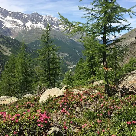 Apartment Haus Alpenstern *