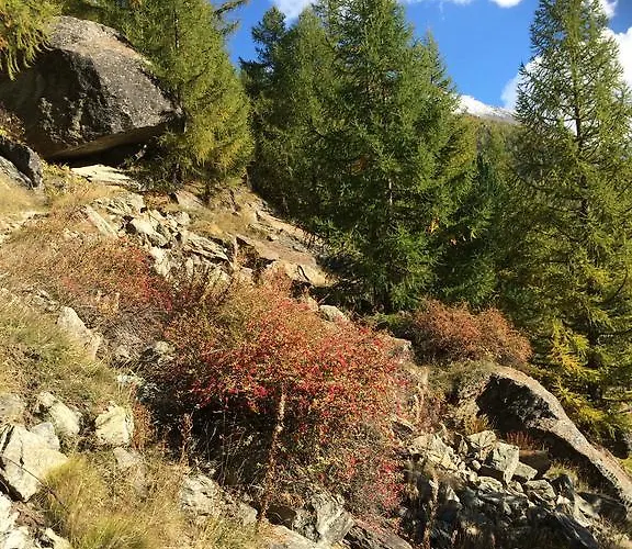 דירה Haus Alpenstern סאס-גרונד