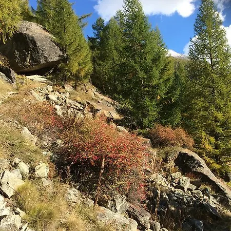 아파트 하우스 알펜슈테른 사스그룬트